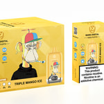 Eine gelbe Schachtel und ein Vape-Gerät mit der Aufschrift "Bang Digital 15000 Puffs" mit einem Cartoon-Affen, der eine mehrfarbige Kappe trägt und einen Vape-Stift hält. Die Box enthält einen Warnhinweis zur Nikotinsucht sowie Symbole für Indikatoren und Spezifikationen.