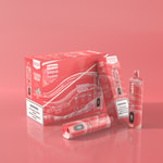 Emballage rouge d'une chicha jetable étiquetée " Watermelon Ice " contenant 15 000 bouffées, comportant des détails sur le produit et un avertissement concernant la nicotine.