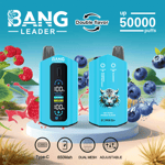 Promotional image for BANG Leader disposable vape showing two blue devices with digital displays, surrounded by illustrated raspberries and blueberries, and highlighting features such as double flavor, up to 50,000 puffs, Type-C charging, 650mAh battery, dual mesh coils, and adjustable settings.