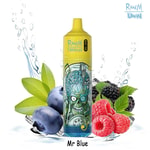 RandM Tornado vape device with a sci-fi skull illustration, surrounded by blueberries, raspberries, blackberries, green leaves, and splashing water, labeled 'Mr Blue'.