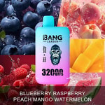 Bang Leader vape device with a gradient blue and pink design, surrounded by images of blueberries, peaches, mangoes, raspberries, and watermelon slices, with the text 'Blueberry Raspberry Peach Mango Watermelon' at the bottom.