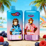 Due bottiglie da spremere blu con sfondo di una spiaggia tropicale, raffiguranti scimmie animate: la bottiglia di sinistra mostra una scimmia con le cuffie e abiti blu a tema ghiaccio etichettati “Blueberry Ice”, la bottiglia di destra mostra una scimmia con camicia rosa etichettata “Lady Killer”, con loghi in grassetto U•R e TwiNs.
