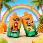 Due bottiglie colorate con scimmie cartoni animati su una soleggiata spiaggia tropicale, gusti di aranciata (aranciata e frutta tropicale), appoggiate insieme con un arcobaleno, palme e frutti sullo sfondo.