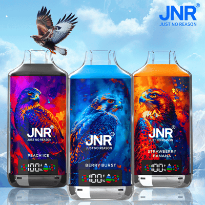 Three colorful bottles of JNR branded e-liquid labeled "Peach Ice," "Berry Burst," and "Strawberry Banana," each featuring a vibrant hawk design against colorful backgrounds.