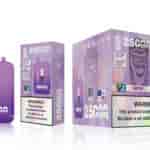 A purple vape device labeled "Bang King" is shown alongside its packaging. The packaging highlights "25000 PUFFS", details about dual mesh coils, and flavor information indicating "Grape Ice". A warning label about nicotine is prominently displayed.
