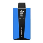 Un appareil de vapotage bleu et noir étiqueté " BANG KING 30K PRO " avec la saveur " BLUEBERRY ICE "."