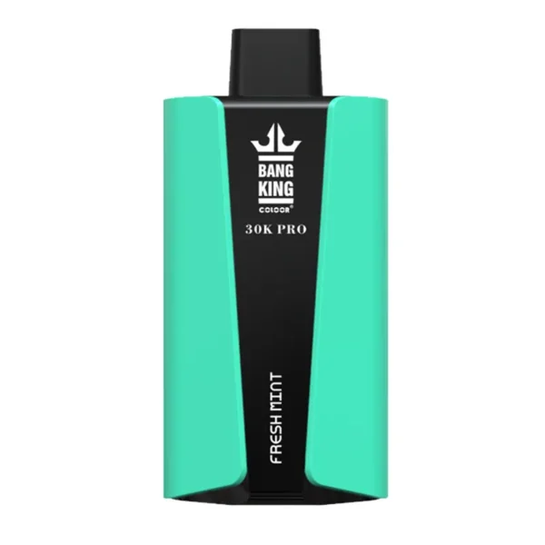 Un appareil de vape bleu sarcelle et noir étiqueté " BANG KING 30K PRO " avec " FRESH MINT " écrit sur le devant.