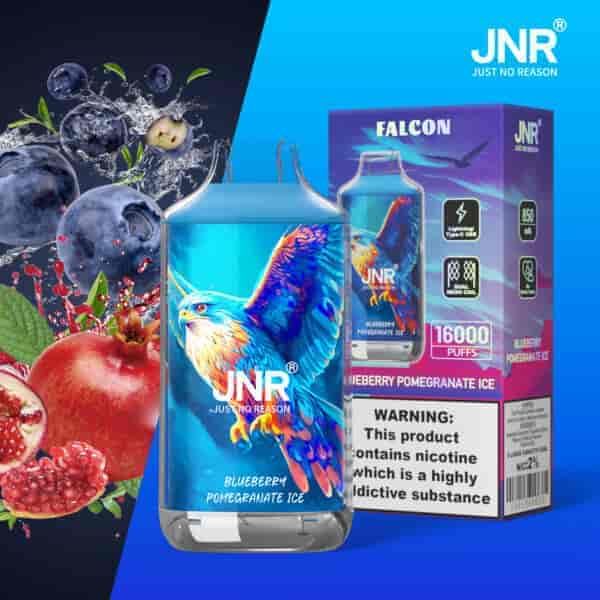 Mirtilli, melograno e una bottiglia per vaporizzatore con un'illustrazione colorata di un uccello etichettata "Blueberry Pomegranate Ice" accanto alla confezione che mostra i dettagli del prodotto.