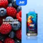 Une image vibrante représentant des myrtilles et des framboises sur le côté gauche, avec les mots " BLUEBERRY RASPBERRY " bien en évidence. Sur le côté droit, une bouteille d'un produit au design coloré, représentant un aigle, et le logo de la marque " JNR ". Le fond est un bleu dégradé.