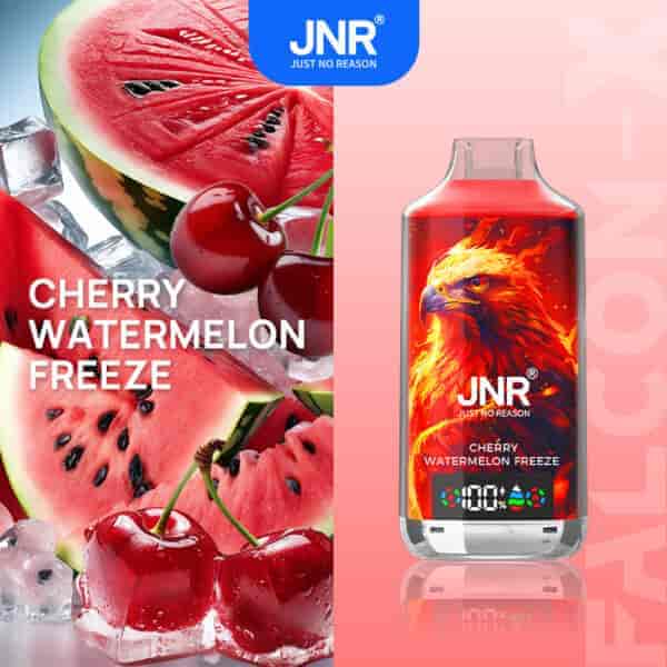 Gros plan de tranches de pastèque, de cerises et de glaçons à gauche, avec une bouteille d'e-liquide rouge présentant un motif d'aigle enflammé et le texte " JNR Cherry Watermelon Freeze " à droite.
