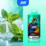 Appareil à vape aromatisé à la menthe avec un motif d'aigle et des feuilles de menthe fraîche sur la glace en arrière-plan.