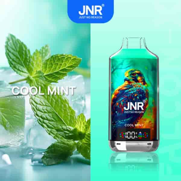 Appareil à vape aromatisé à la menthe avec un motif d'aigle et des feuilles de menthe fraîche sur la glace en arrière-plan.