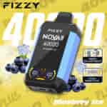 Image promotionnelle du vape jetable Fizzy NQVA Plus avec glace aux bleuets, présentant le produit, les bleuets, les glaçons et les points forts pour 4 000 bouffées, le réglage de la vitesse et la bobine à double maille.