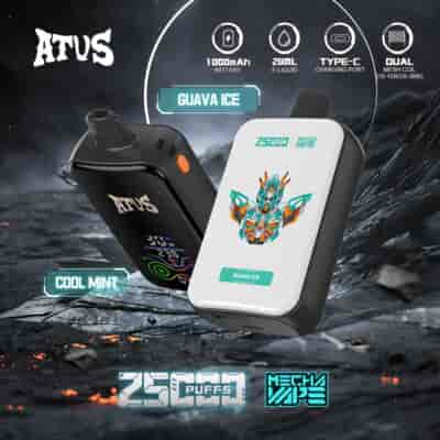 Promotional image for AFUS disposable vapes highlighting Cool Mint and Guava Ice flavors, with close-up views of the devices, features like 25000 puffs, 1000mAh battery, 28ml e-liquid, Type-C charging, and dual mesh coil, all set against a futuristic, rocky background.