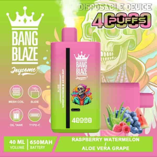 Colorful vape device packaging with a pink and green gradient, featuring a cartoon skeleton wearing sunglasses, fruit images (raspberries, blueberries, watermelon, grapes), and text highlighting raspberry watermelon and aloe vera grape flavors, 4000 puffs, 40ml volume, 650mAh battery, and product branding.