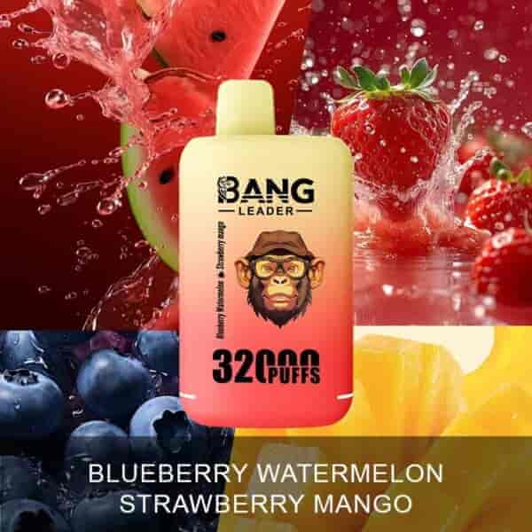 Färgglad vape-enhet märkt 'BANG LEADER 3200 PUFFS' med ett bakgrundscollage av stänkande vattenmelon, jordgubbar, blåbär och mangobitar som framhäver smakerna blåbär, vattenmelon, jordgubbe och mango.