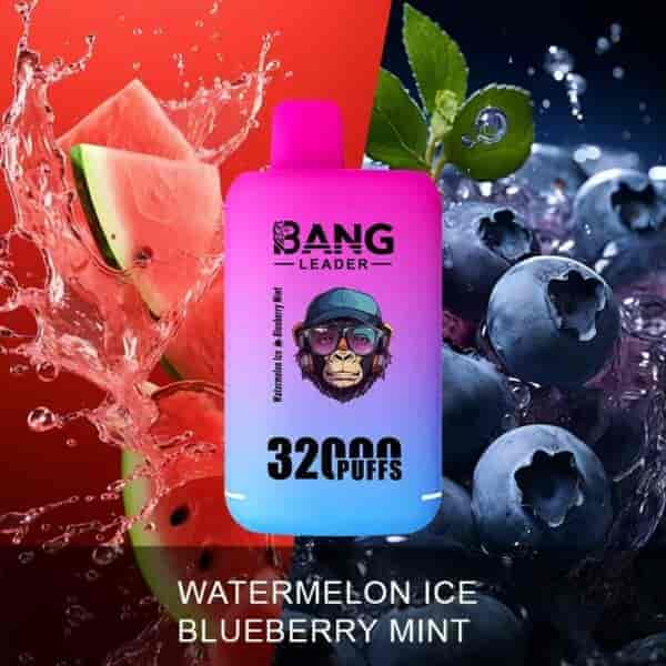 Bang Leader 32 000 puffar vape-enhet med rosa och blå gradientdesign, omgiven av stänkande vattenmelon och färska blåbär, märkt med 'Watermelon Ice Blueberry Mint'.