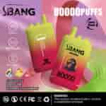 Promotional image for SBANG disposable vape devices featuring two colorful vapes, flavor icons for avocado ice, lemon lime, and watermelon raspberry, and product highlights such as 80,000 puffs, Type-C charging, dual mesh technology, and nicotine warning.