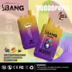 Promotional image for S.Bang Bang Leader disposable vape featuring two vape devices, text highlighting 80,000 puffs, triple flavors (blueberry watermelon, strawberry mango, blackcurrant), and product features like Type-C charging and dual mesh.