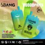 Promotional image for SBANG vape devices featuring two colorful vapes labeled 'BANG LEADER' with 80000 puffs, flavor notes for raspberry mojito peach ice, strawberry and watermelon, and kiwi passion fruit guava, icons for Type-C charging, dual mesh, and warning about nicotine content.