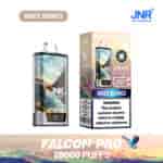 Vape jetable JNR Falcon Pro et emballage étiquetés ' Baies mélangées ' avec un paysage de montagne, 28 000 bouffées annoncées et un avertissement de dépendance à la nicotine affiché.