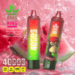 Dos coloridos dispositivos de vapeo desechables Bang King con sabor a sandía, uno que muestra el texto '40000 puffs' y el otro con un mono ilustrado con una gorra roja, sobre un fondo de sandía salpicada con detalles del producto que incluyen carga tipo C, batería de 1000 mAh y bobina de malla 1.0Ω