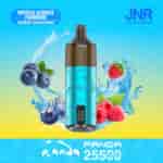 Un colorido dispositivo de vapeo con la etiqueta JNR Panda con un efecto de salpicadura de agua, rodeado de arándanos y frambuesas, que muestra su sabor 'Blueberry Sour Raspberry'.