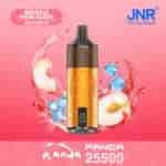 Un dispositivo de vapeo naranja con la etiqueta 'PANDA' y el logotipo de un panda, rodeado de salpicaduras de agua, cubitos de hielo y un melocotón en rodajas, sobre un fondo rosa degradado con el texto 'NEW PEACH ICE'.'