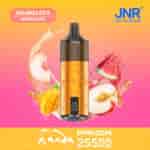 Un dispositivo de vapeo vibrante que presenta un cuerpo naranja con el logotipo de un panda, rodeado de toques de frutas tropicales como mango, melocotón y sandía, sobre un fondo rosa degradado con el texto 'Summer Holiday'.
