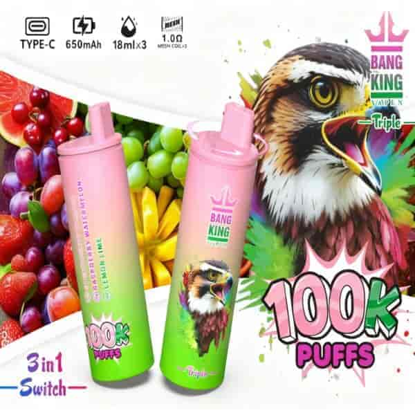 A colorful advertisement for Bang King vape featuring two vape devices with labels indicating flavors like strawberry and watermelon, surrounded by a vibrant background of assorted fruits and a stylized illustration of a bird's face, emphasizing '100K PUFFS' and the product's features like Type-C charging and 650mAh battery.