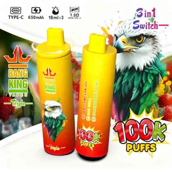 Two colorful vape devices labeled 'Bang King Vape' and 'Triple,' featuring flavors like 'Watermelon Ice' and 'Strawberry Kiwi,' alongside an illustration of a detailed eagle, with a prominent '100K Puffs' graphic and elements suggesting freshness, set against a fruit-filled background.