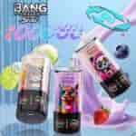 Three colorful vape devices labeled "Bang Leader Stoll" and "Bang Soul" featuring illustrations of a llama and a panda, with text indicating "10000 PUFFS" and "4 in 1", surrounded by fruit graphics and splashes of liquid on a reflective surface.