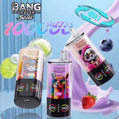 Tre färgglada vape-enheter märkta "Bang Leader Stoll" och "Bang Soul" med illustrationer av en lama och en panda, med text som anger "10000 PUFFS" och "4 in 1", omgivna av fruktgrafik och stänk av vätska på en reflekterande yta.