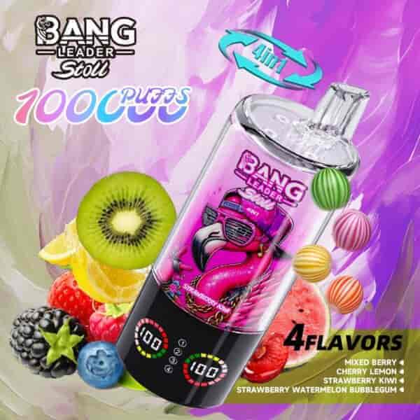 A colorful vape pen called Bang Leader with a flamingo design and sunglasses, prominently displaying '100,000 PUFFS' and various fruit flavors like mixed berry, cherry lemon, and strawberry kiwi, against a backdrop of assorted fruits including kiwi, lemon, and strawberries.
