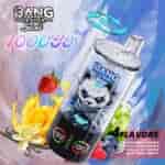 A colorful vape device featuring a cartoon panda design, labeled 'BANG LEADER Stoll' with '1000 PUFFS' and four flavor options: Strawberry Mango, Blue Razz Lemonade, Vanilla Ice Cream, and Sour Triple Berry, surrounded by vibrant fruit illustrations against a pastel blue and pink background.