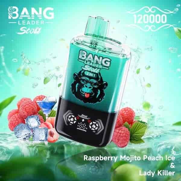 Un dispositivo de vapeo vibrante con la etiqueta 'BANG LEADER Stolt 2in1' con una base negra y un cuerpo turquesa transparente que presenta un gorila de dibujos animados con gafas, rodeado de frambuesas frescas, cubitos de hielo y hojas de menta, sobre un fondo acuoso que sugiere un refresco.