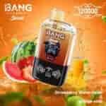 Una colorida imagen promocional de un dispositivo de vapeo con la etiqueta 'BANG LEADER Stoll 2 en 1' que presenta un gráfico de gorila de dibujos animados, rodeado de rodajas de sandía y fresas con toques de refresco de naranja de fondo, enfatizando los sabores 'fresa, sandía y refresco de naranja'.'